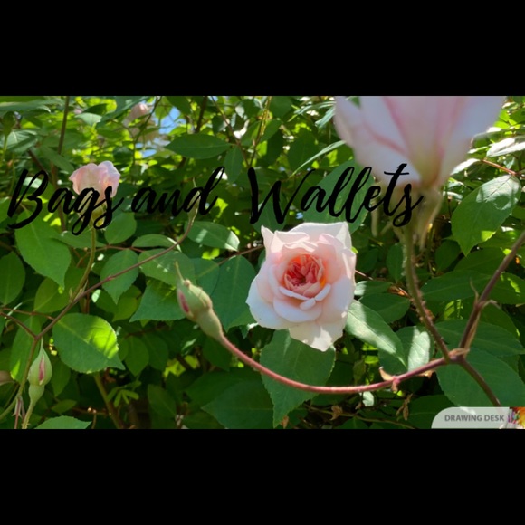 Bags and Wallets - Picture 2 of 2